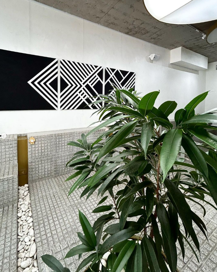 Captura de pantalla 2023-11-26 140514.png